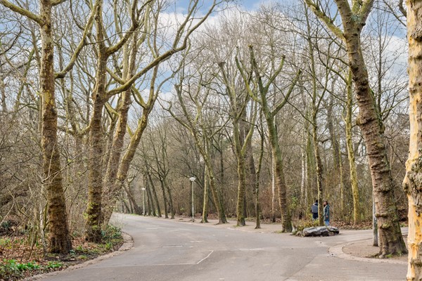 Photo - For rent: Jacob van Lennepkade 340H, 1053 NJ Amsterdam